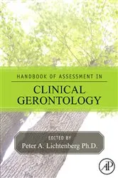 Book cover of Handbook of Assessment in Clinical Gerontology (2nd ed.) by Peter A. Lichtenberg