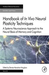 Book cover of Handbook of in Vivo Neural Plasticity Techniques by Denise Manahan-Vaughan