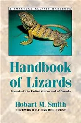 Book cover of Handbook of Lizards by Hobart Smith