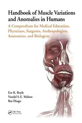 Book cover of Handbook of Muscle Variations and Anomalies in Humans by Eve K. Boyle
