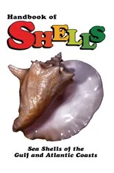 Book cover of Handbook of Shells by Lula Siekman