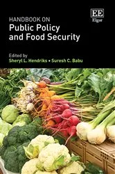 Book cover of Handbook on Public Policy and Food Security by Sheryl L. Hendriks