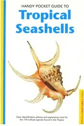 Book cover of Handy Pocket Guide to Tropical Seashells by Pauline Fiene-Severns