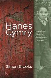 Book cover of Hanes Cymry by Simon Brooks