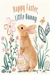 Book cover of Happy Easter, Little Bunny by Amanda Wood