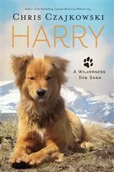 Book cover of Harry by Katie Nicholl