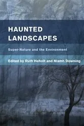 Book cover of Haunted Landscapes by Ruth Heholt