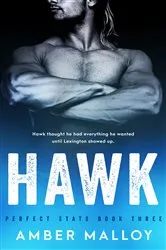 Book cover of Hawk by Steven Brust