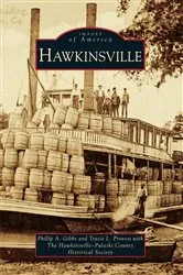 Book cover of Hawkinsville by Phillip A. Gibbs
