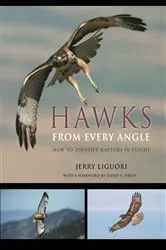 Book cover of Hawks from Every Angle by Jerry Liguori