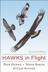 Book cover of Hawks In Flight by Pete Dunne