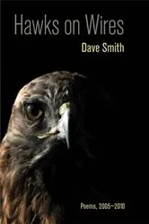Book cover of Hawks on Wires by Dave Smith