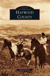 Book cover of Haywood County by Michael Beadle