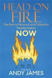Book cover of Head on Fire by Andy James