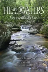 Book cover of Headwaters by Beth Maynor Young