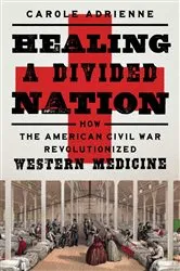 Book cover of Healing a Divided Nation by Carole Adrienne