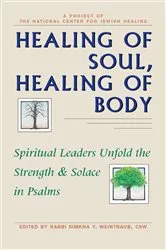 Book cover of Healing of Soul, Healing of Body by Weintraub, CSW, Rabbi Simkha Y.