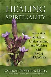 Book cover of Healing Spirituality by Gudrun Penselin