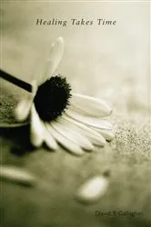 Book cover of Healing Takes Time by David P. Gallagher