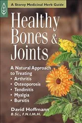 Book cover of Healthy Bones & Joints by David Hoffmann