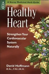 Book cover of Healthy Heart by David Hoffmann