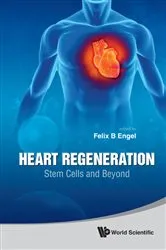 Book cover of Heart Regeneration: Stem Cells And Beyond by Felix B Engel