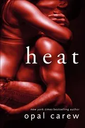 Book cover of Heat by Kay Plunkett Hogge