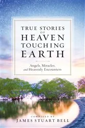 Book cover of Heaven Touching Earth by James Stuart Bell