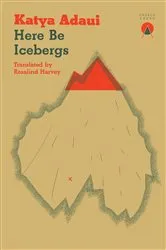 Book cover of Here Be Icebergs by Unknown