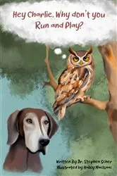 Book cover of Hey Charlie, Why don't you run and play? by DR. STEPHEN SCHER