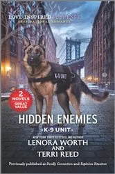 Book cover of Hidden Enemies by Lenora Worth