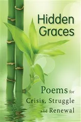 Book cover of Hidden Graces by Schwenker Gretchen L.