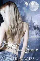 Book cover of Hidden in Plain Sight by Stephen G. Nichols