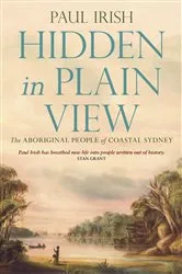 Book cover of Hidden in Plain View by Paul Irish