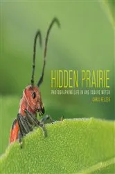 Book cover of Hidden Prairie by Chris Helzer