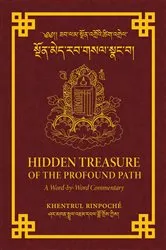 Book cover of Hidden Treasure of the Profound Path by Shar Khentrul Jamphel Lodrö