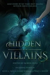 Book cover of Hidden Villains by Robyn Huss