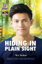 Book cover of Hiding in Plain Sight by Erika Denise Edwards