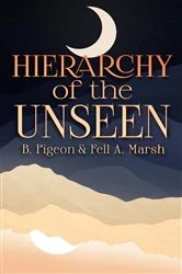 Book cover of Hierarchy of the Unseen by B. Pigeon