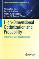 Book cover of High-Dimensional Optimization and Probability by Ashkan Nikeghbali