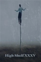 Book cover of High Shelf XXXV by N/A
