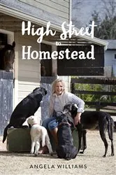 Book cover of High Street to Homestead by Angela Williams