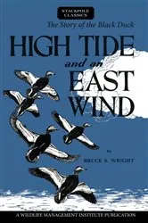 Book cover of High Tide and an East Wind by Bruce S. Wright