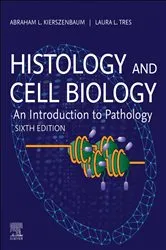 Book cover of Histology and Cell Biology: An Introduction to Pathology - E-Book (6th ed.) by Kierszenbaum M.D., Ph.D., Abraham L.