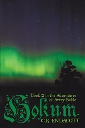 Book cover of Hokum by C.R. Endacott
