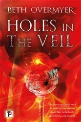 Book cover of Holes in the Veil by Beth Overmyer