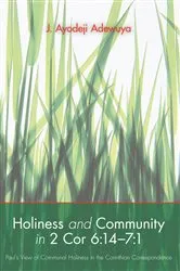 Book cover of Holiness and Community in 2 Cor 6:14–7:1 by J. Ayodeji Adewuya
