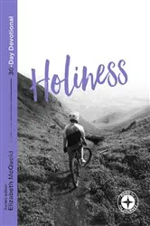 Book cover of Holiness: Food for the Journey by McQuoid; Elizabeth