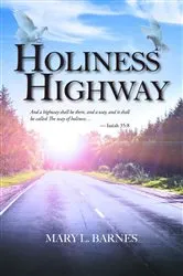 Book cover of Holiness Highway by Mary L. Barnes