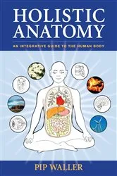 Book cover of Holistic Anatomy by Pip Waller
